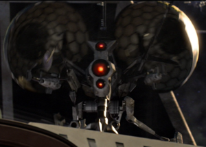buzz droid