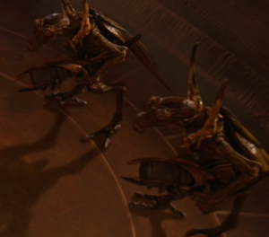 Geonosians